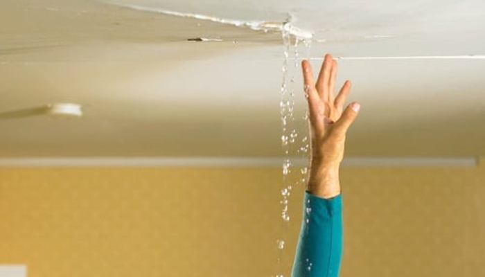 Signs to Look Out for if Your Roof is Leaking