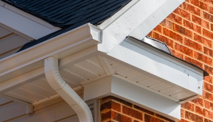 What are Fascias?